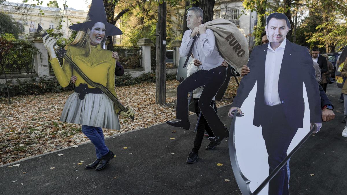 id207139_inquam_photos_octav_ganea_63296100