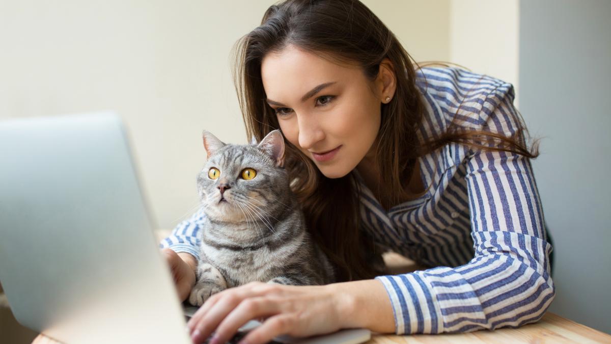 inteligenta-artificiala-poate-acum-sa-detecteze-daca-pisica-ta-are-dureri-doar-scanandu-i-fata_46987500