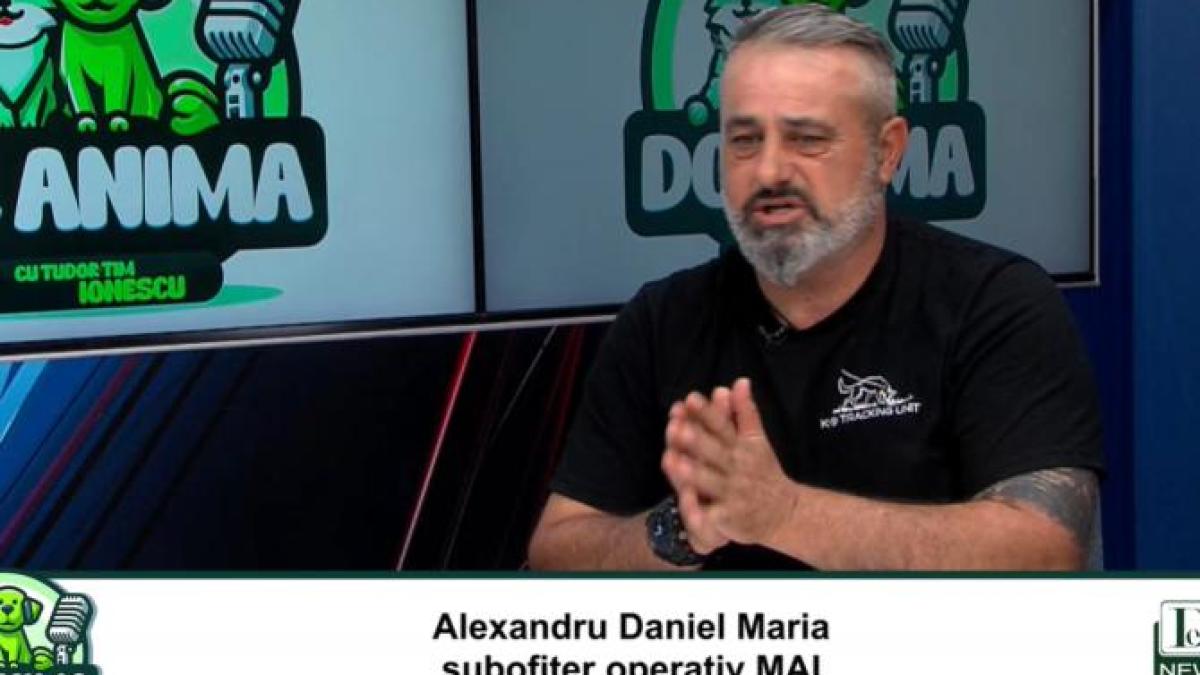 alexandru-maria-dcanima_60249000