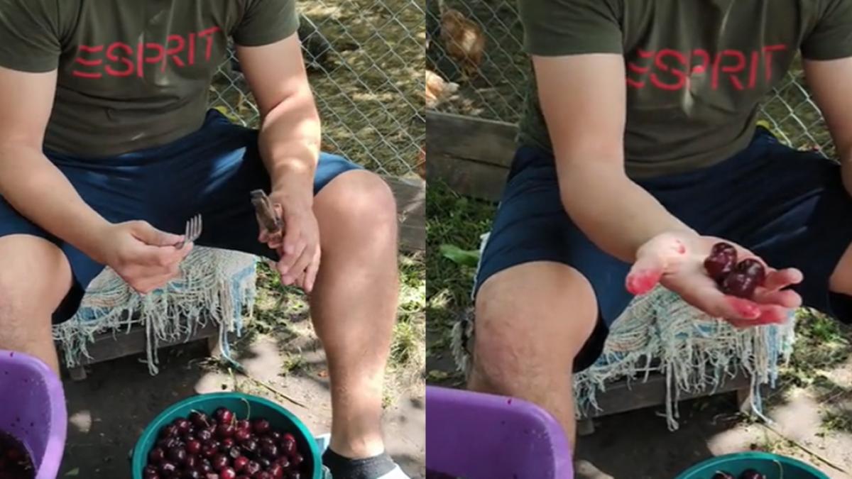 cum-scoti-samburii-la-cirese-si-visine_58899600