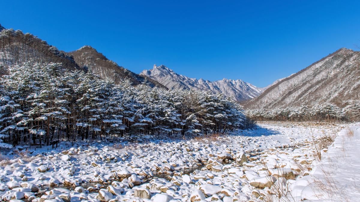 ninsoare-de-vara--in-mongolia--un-fenomen-rar--ploile-abundente-s-au-transformat-in-zapada_18338800