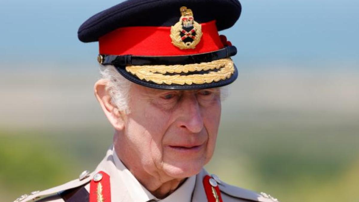 portretul-regelui-charles-al-iii-lea-a-fost-vandalizat-de-activisti-pentru-drepturile-animalelor---foto_40277000