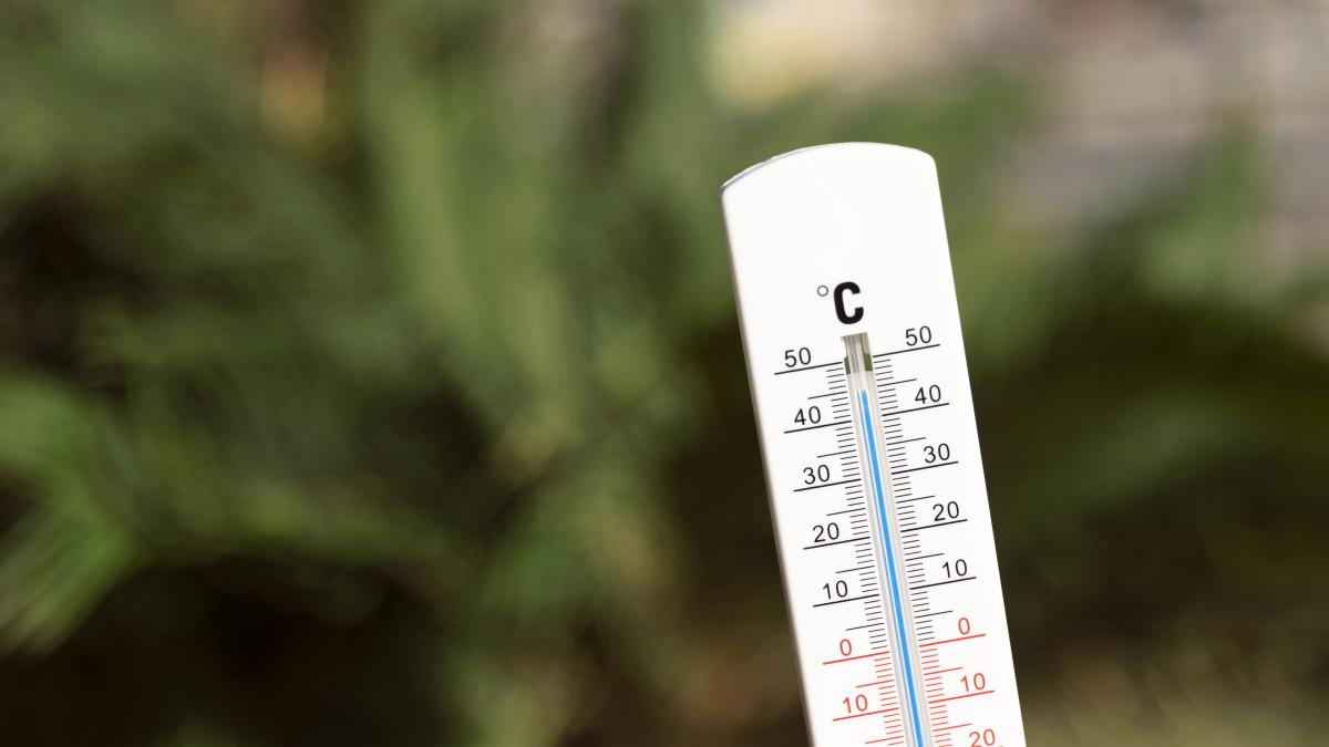 temperaturaa_44880000