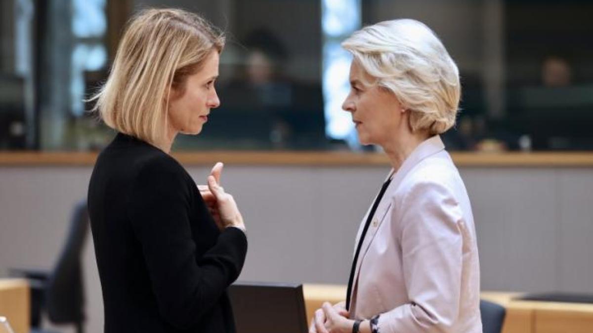 ursula-kaja_84281100