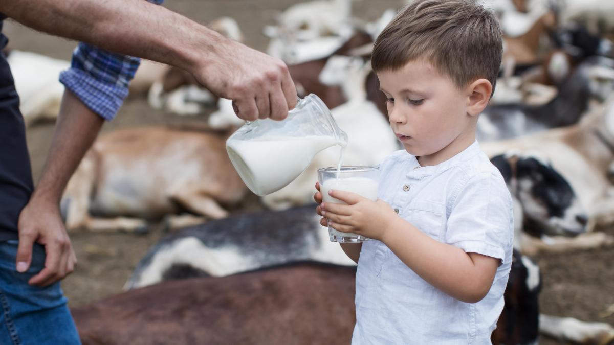 testarea-pentru-gripa-aviara--extinsa-la-produsele-lactate--care-este-riscul-de-transmitere-la-oameni_06311200