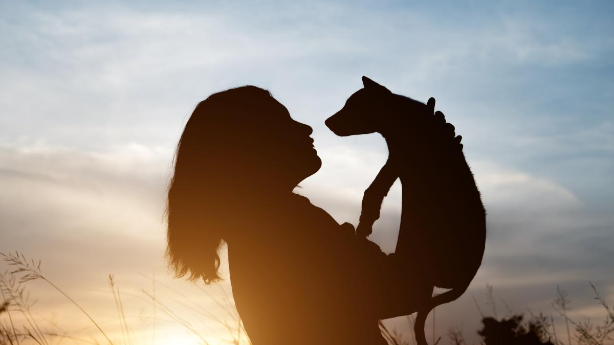 femeie-caine_11250100