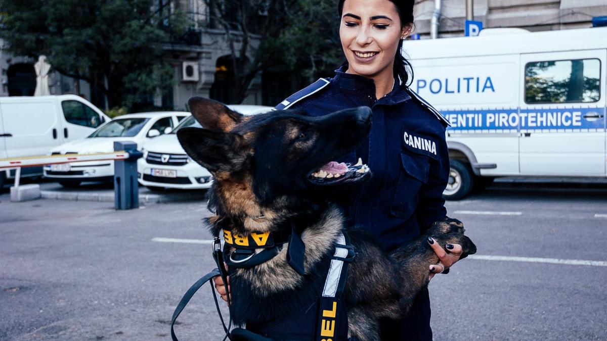 politia-canina---eroii-patrupezi--despre-curaj-si-pasiune-cu-alexandra-neacsu_51007700