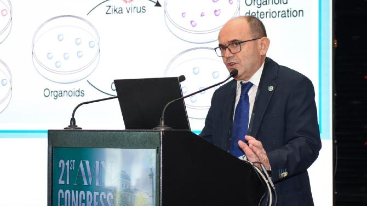 al-19-lea-congres-al-ssnn-rezerva-cerebrala--neuroplasticitatea-si-neuroregenerarea-prc-c2prc-a0factori-determinanti-in-recuperarea-pacientilor-cu-leziuni-cerebrale_41184200