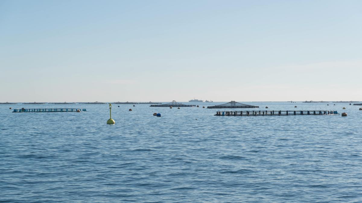 acvacultura_15366000