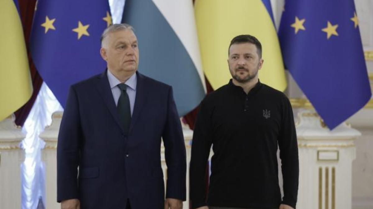 cum-vede-viktor-orban-relatia-rusia-nato--cursa-pentru-casa-alba-si-misiunea-sa-de-pace-in-ucraina_41861300