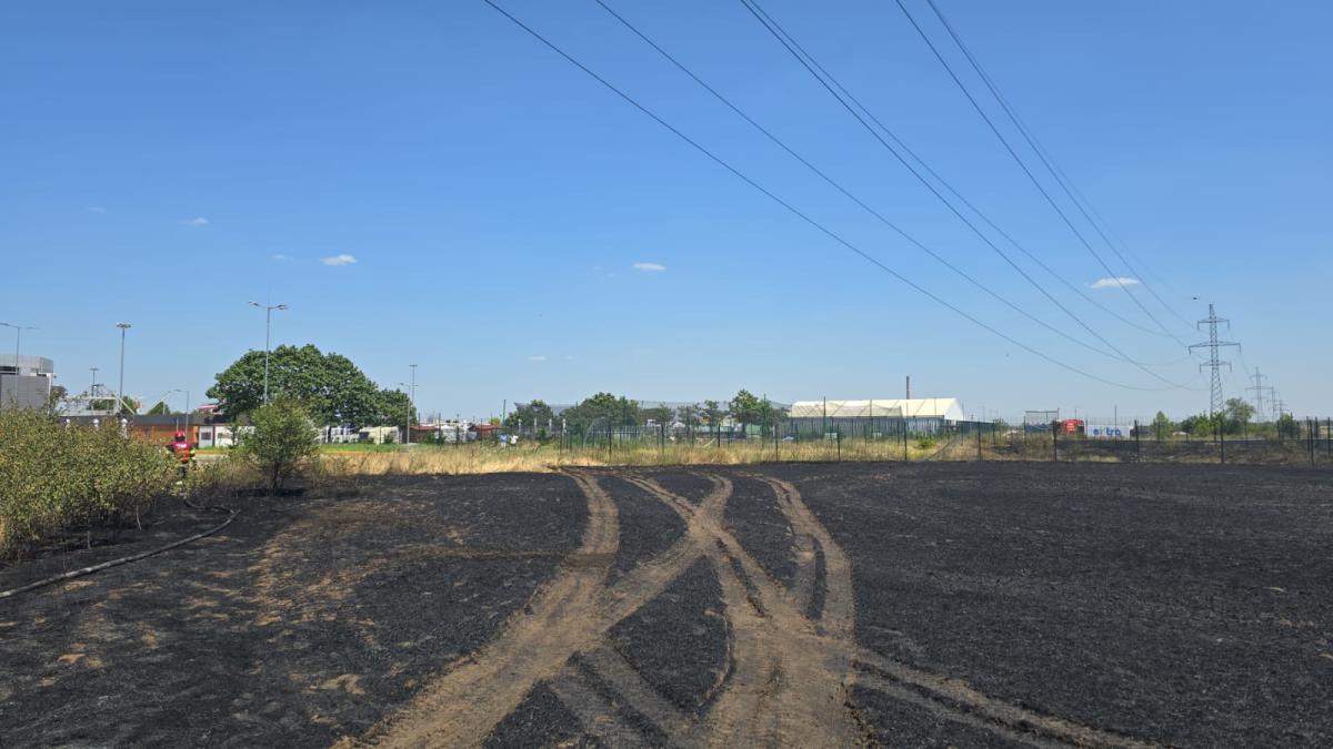 incendiu_chiajna_03783800