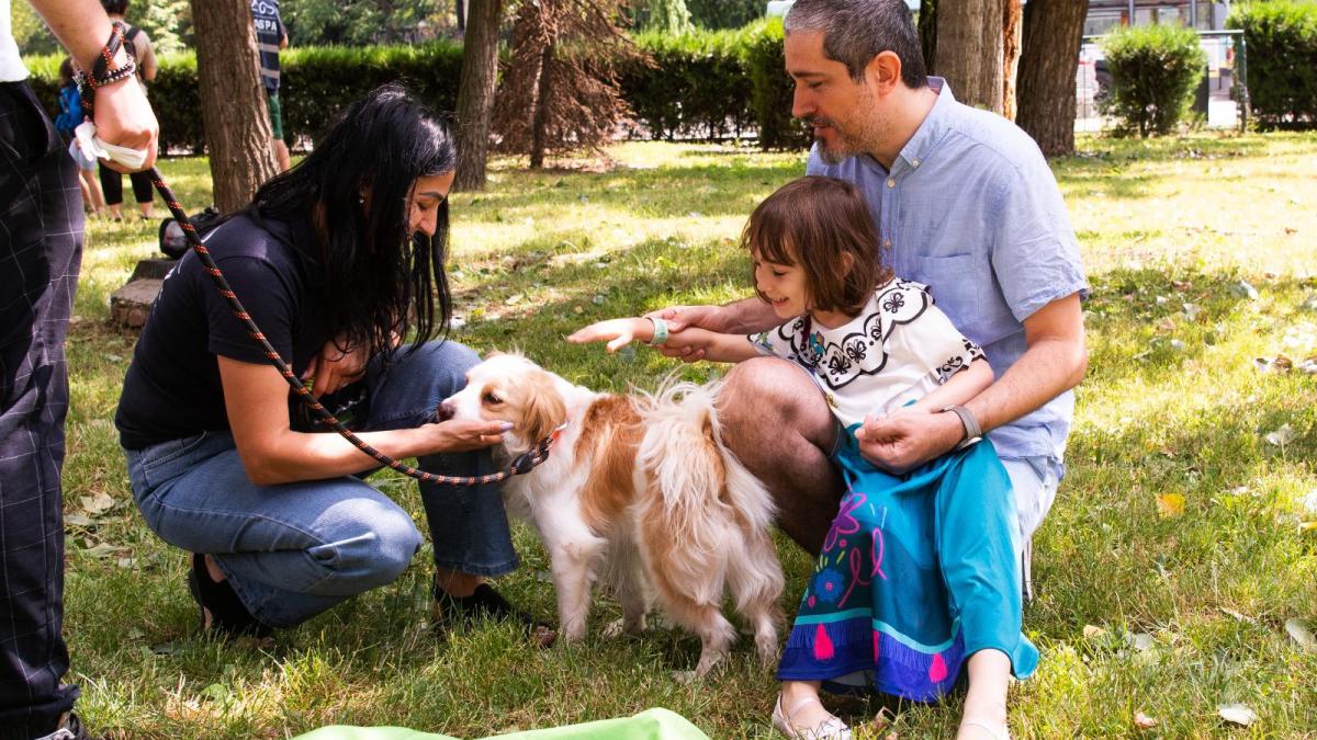 caini-pt-adoptie_80868300