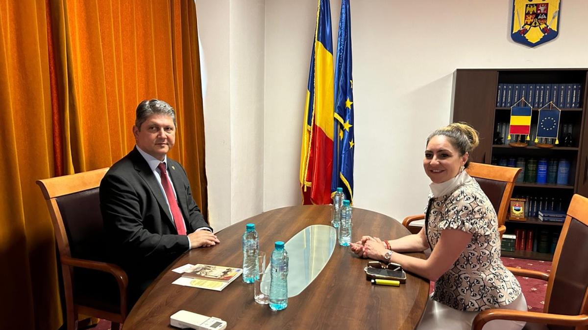 titus-corlatean--presedintele-comisiei-pentru-politica-externa--intrevedere-cu-mihaela-plesa--membra-a-legislativului-statului-texas--ce-au-discutat_50933000