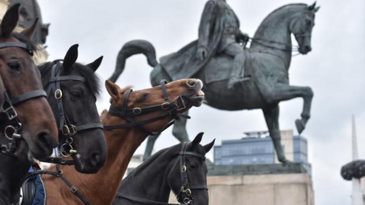 jandarmeria_calare_ager_88123000