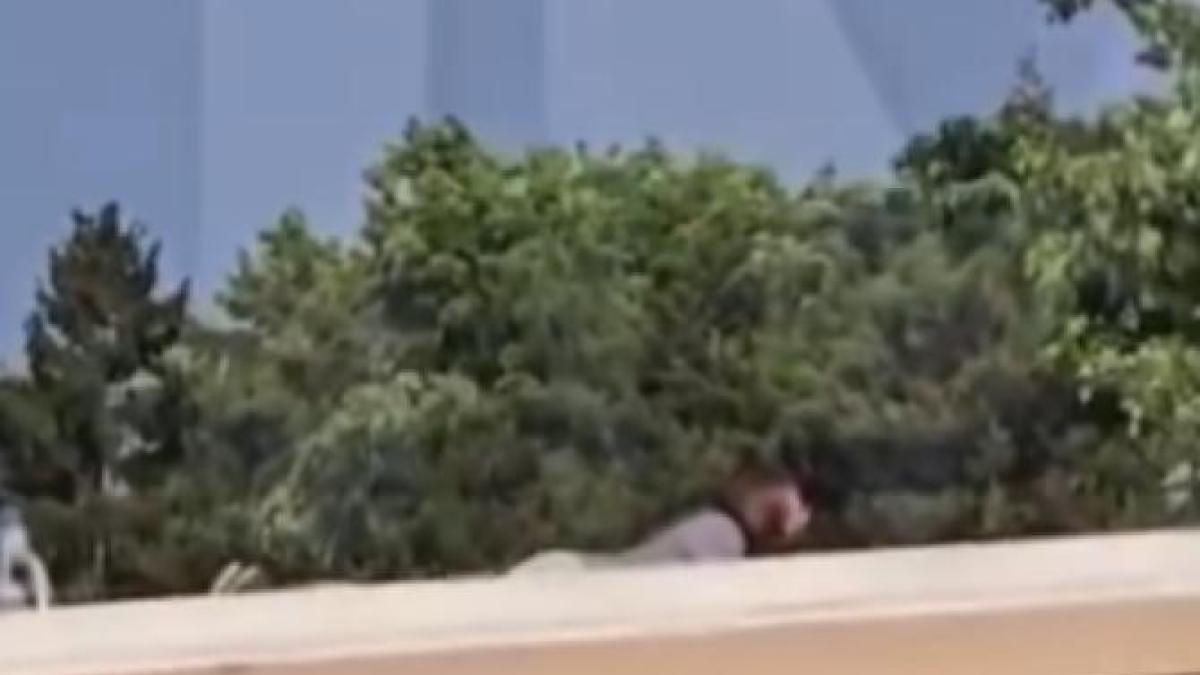 atacator-trump_08135700