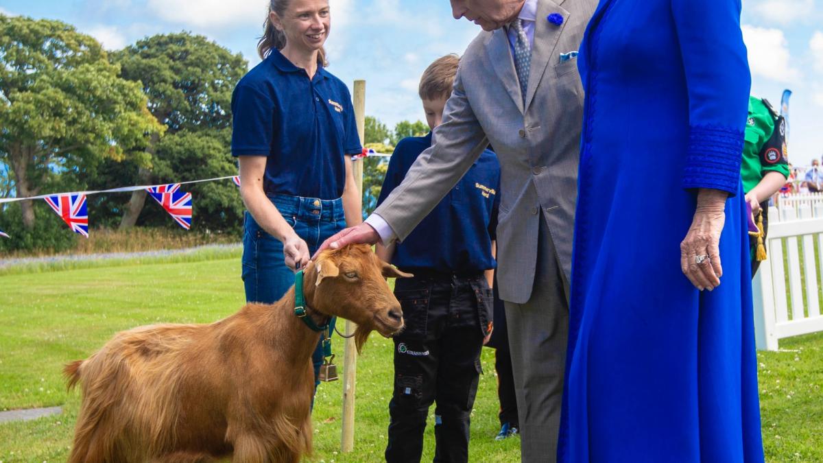 regele-charles-si-regina-camilla-au-acordat-un-titlu-regal-unei-capre_31133100