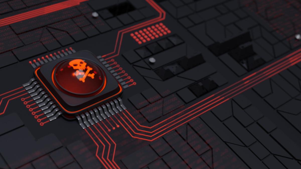 pana-cibernetica-amploare_03516500