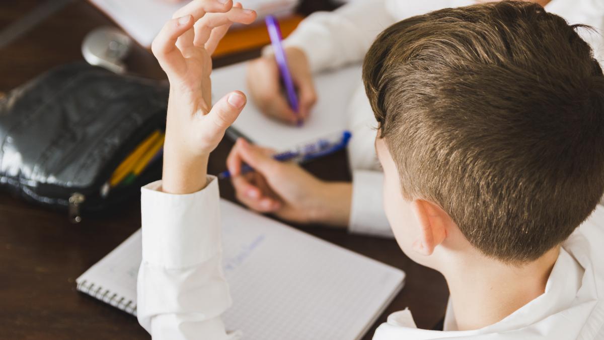 scoala-elev-teme_94582000