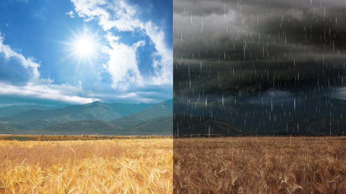 vremea-pana-pe-3-iunie-2024--anm--prognoza-meteo-pe-saptamani_37754400