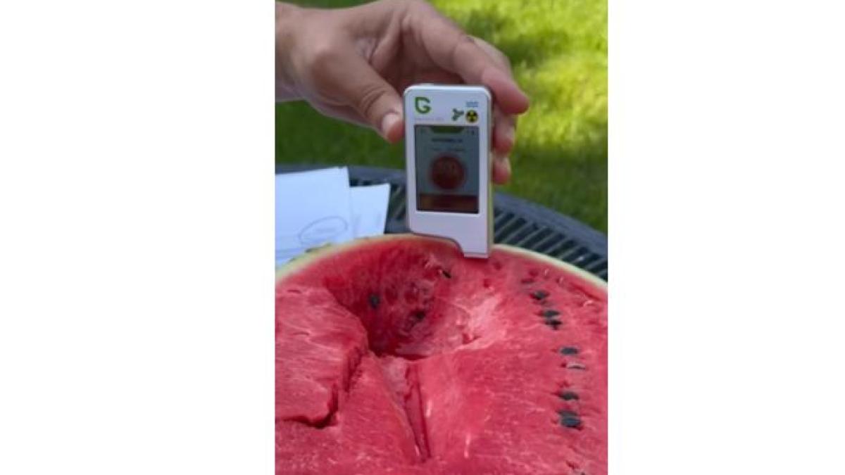 sorin-constantinescu-aparat-pesticide-pepeni_52888800