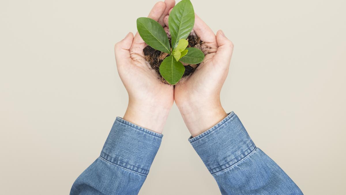 schimbari-climatice_38844600