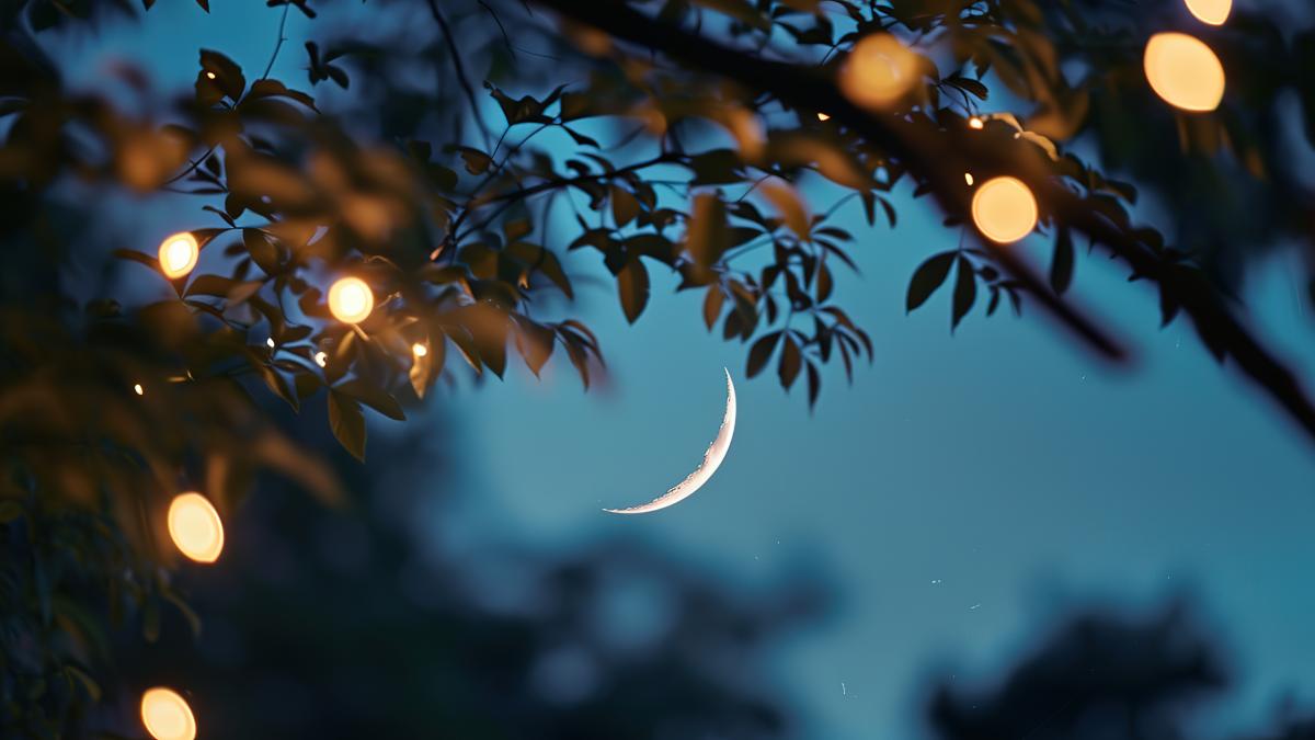 crescent-that-is-hanging-from-tree-with-lights_20454800
