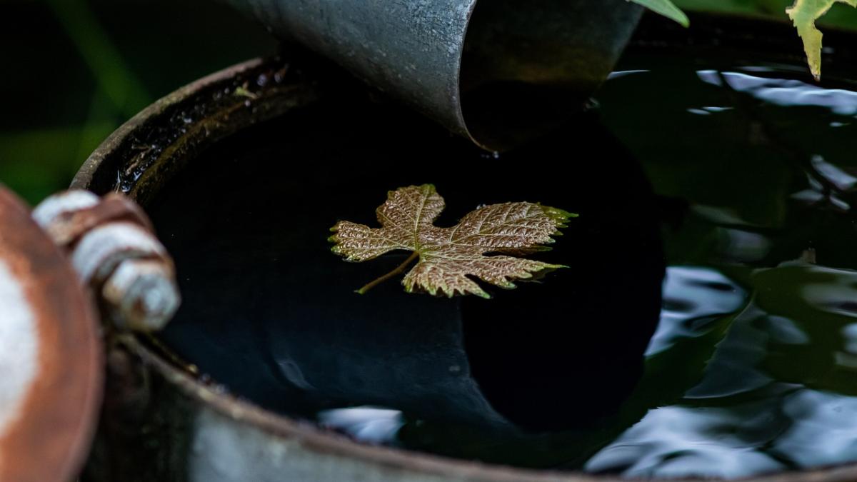 butoi-apa-ploaie_54225400