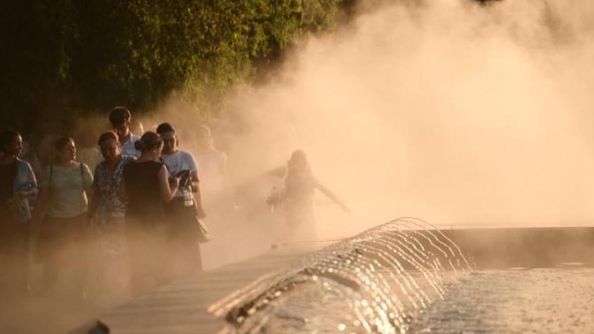 canicula-vara_82313400