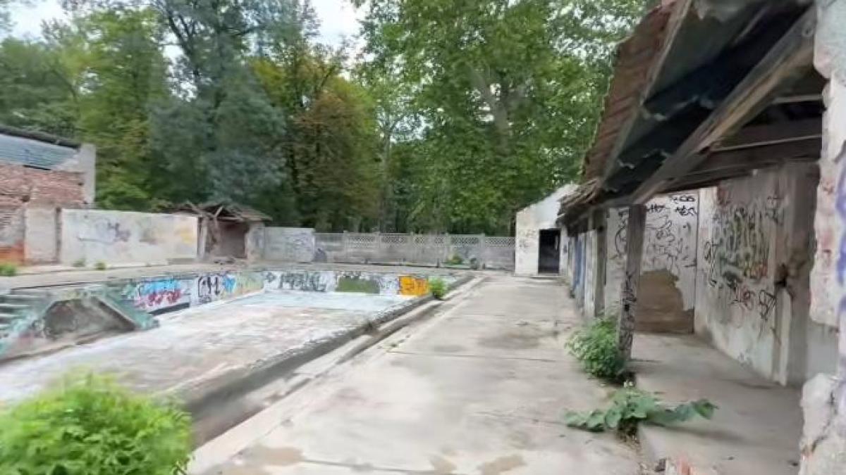 mereu-cei-de-dinainte-au-fost-vinovati--dan-negru--reactie-la-situatia-bazelor-de-natatie-din-romania-cu-atat-mai-mare-performanta-si-mirarea_19995000