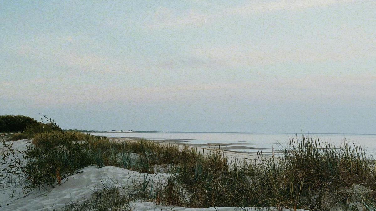 pexels-aljona-ovtsinnikova-121486965-17354530_32102700