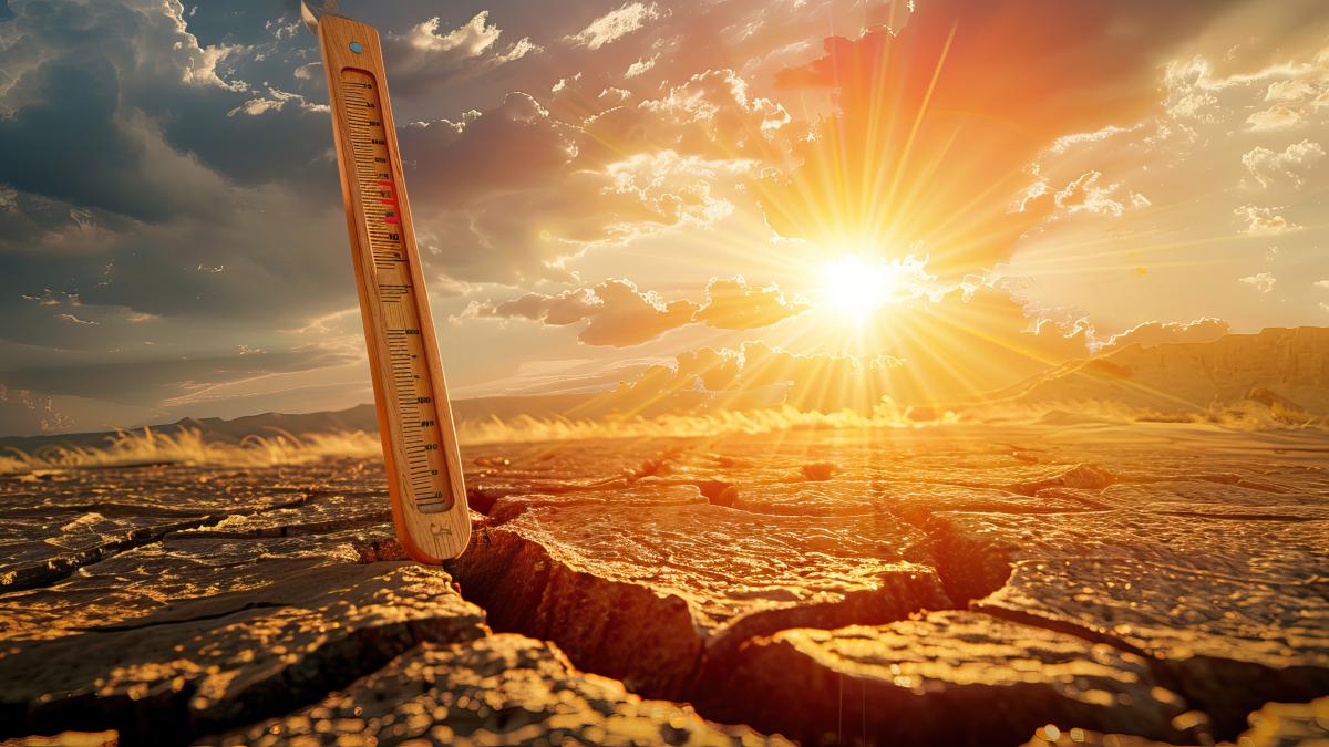 revine-canicula-anm-anunta-cod-galben-zonele-afectate-de-temperaturile-ridicate--vom-avea--din-nou--nopti-tropicale_58924500
