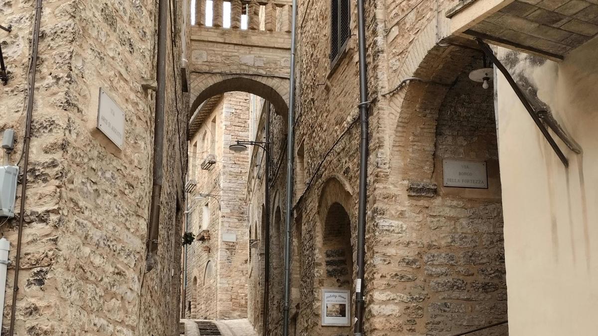 pexels-memea94-25493192_61299300