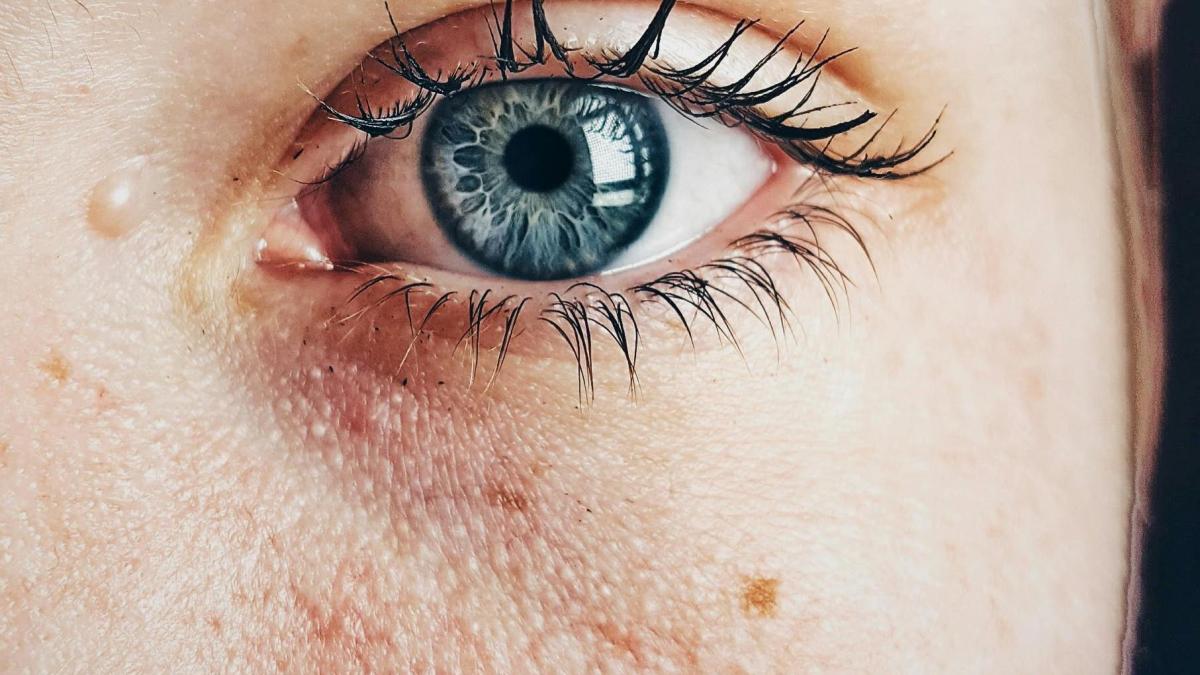 pexels-almadastudio-609549_18695000