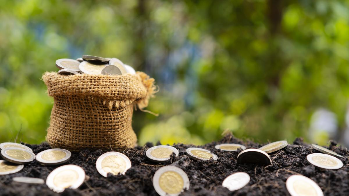 despagubiri-pentru-fermieri-dupa-pagubelor-produse-de-seceta--termenul-limita-pentru-depunerera-cererilor--prelungit_15982400