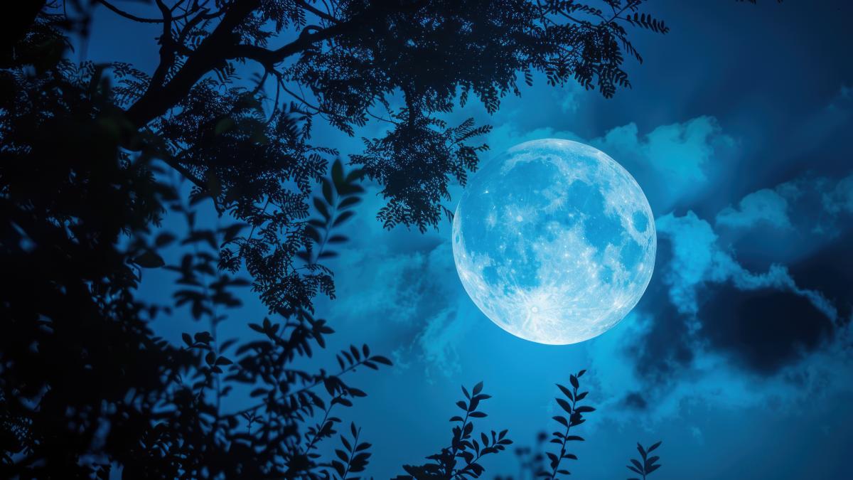 full-moon-night_09559300