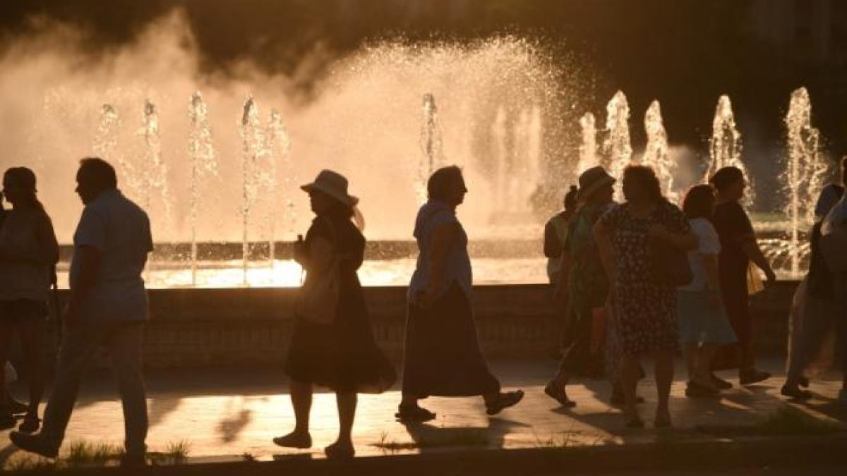 canicula-beton-cod-rosu_21317300