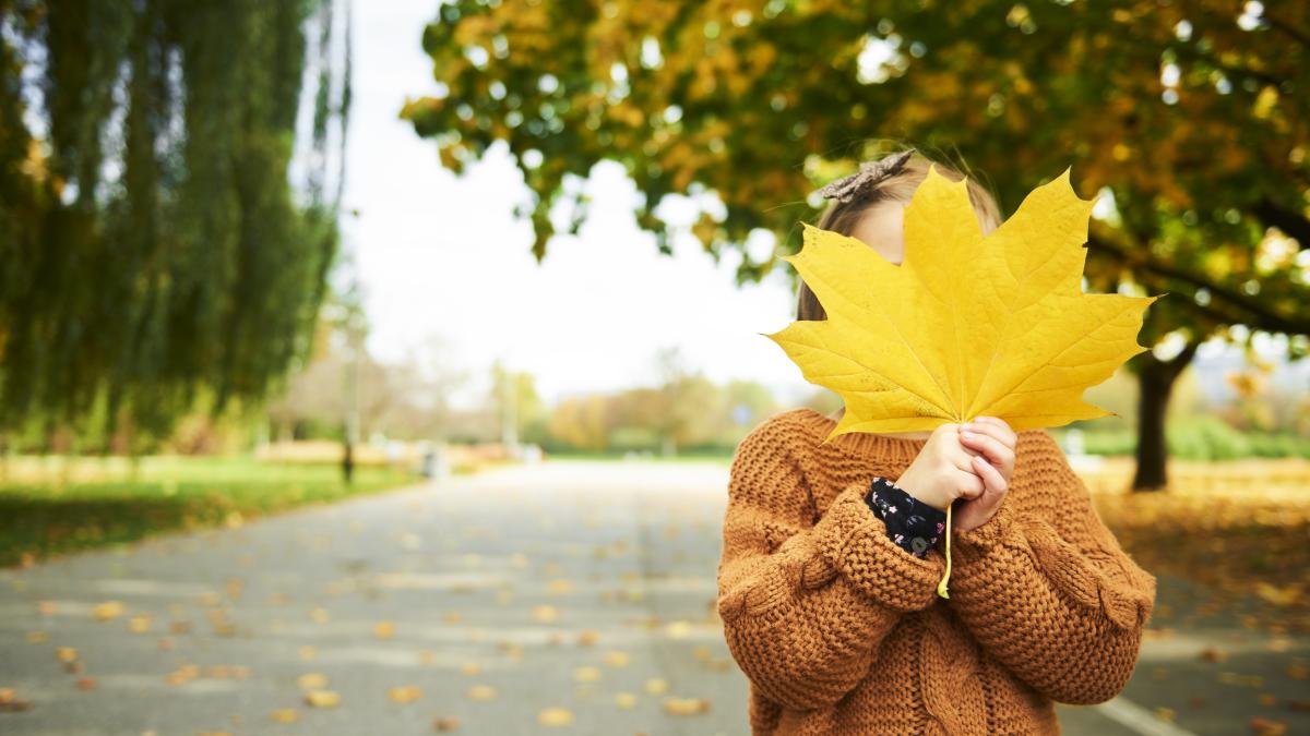 girl-holding-big-autumnal-leafs-front-her-face_27202900