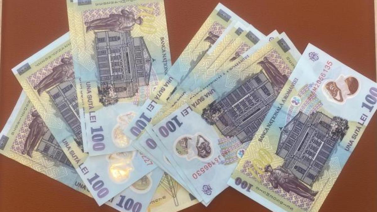 bani-lei-murgoci_02244500