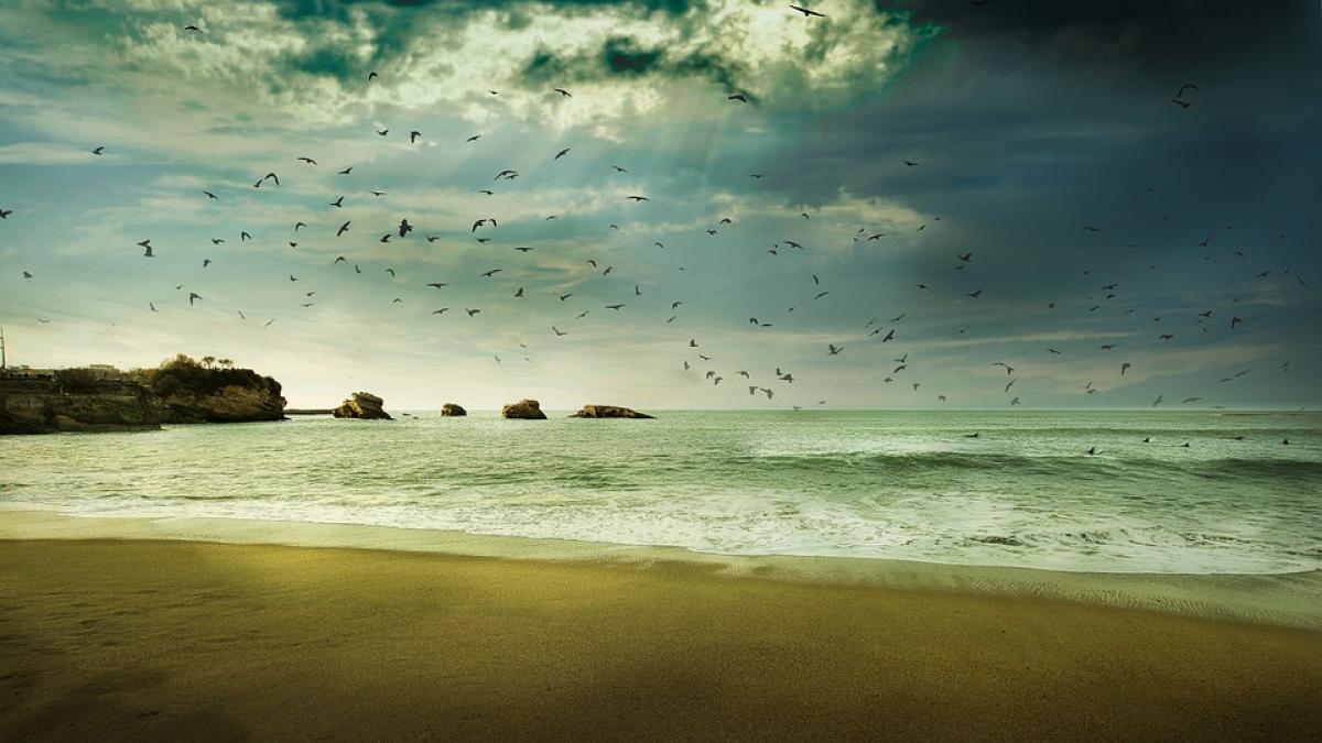 apa-atlantic_70647400