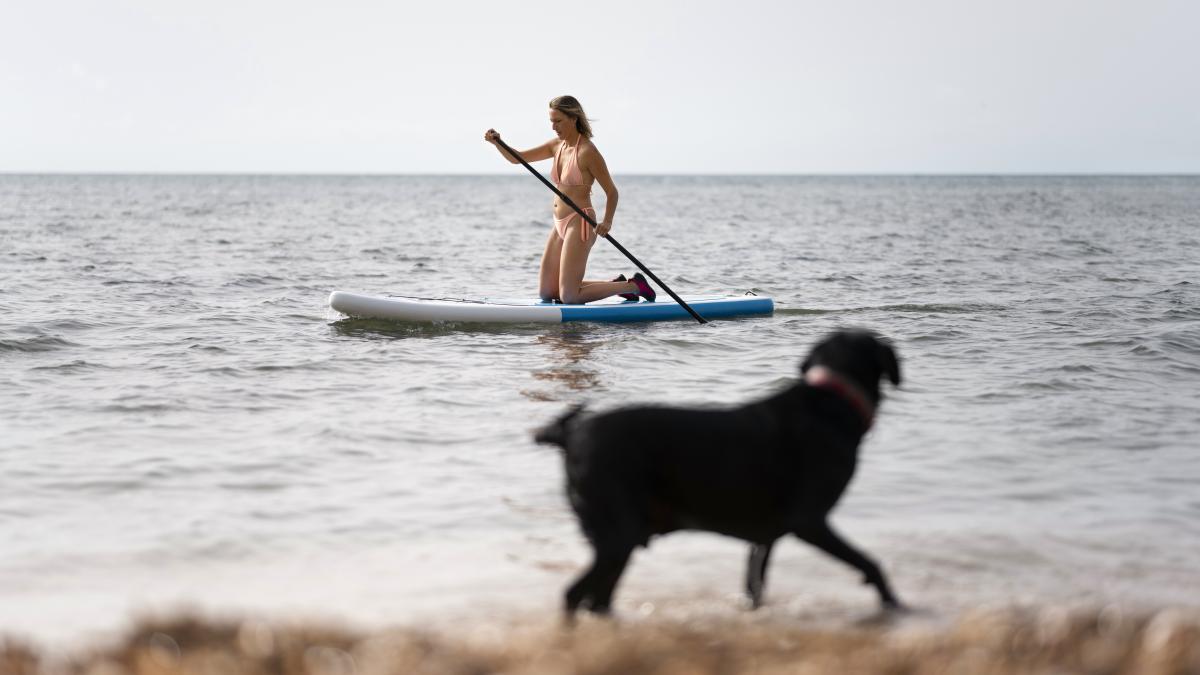 tara-in-care-salvamarii-sunt-ajutati-de-caini_58267800