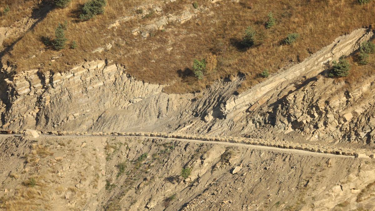 alunecari_de_teren_64602200