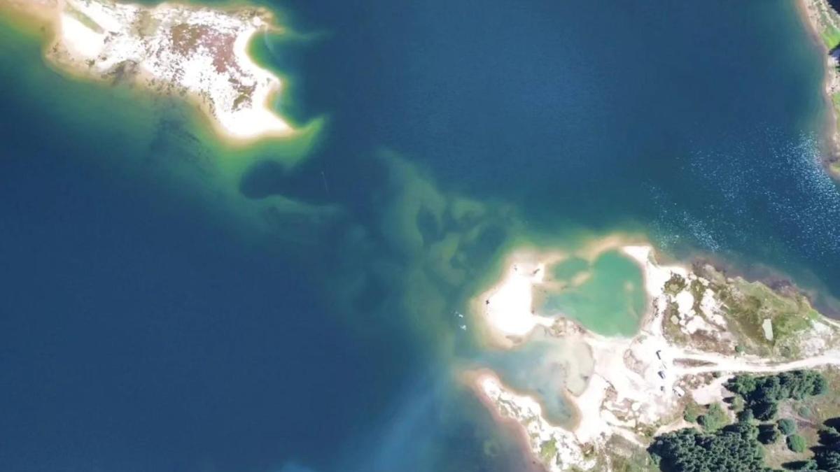 anar_seceta_crizaapei_64987000