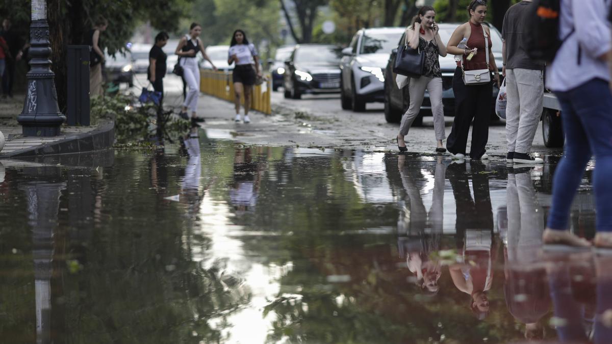 ilustratie_urmari_furtuna_004_inquam_photos_octav_ganea_33458800