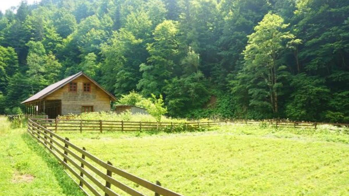 cum-a-fost-vacanta-mea-in-maramures--dupa-ani-de-concedii-la-plaja-in-grecia-si-turcia-41_75486100
