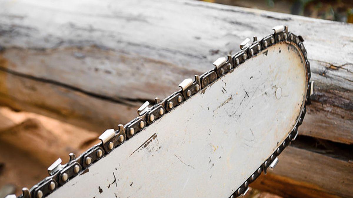 drujba--unul-dintre-cele-mai-prc-e2prc-80prc-9cascultatoareprc-e2prc-80prc-9c-echipamente--atat-timp-cat-este-manevrata-de-maini-cu-adevarat-pricepute-2_50547500