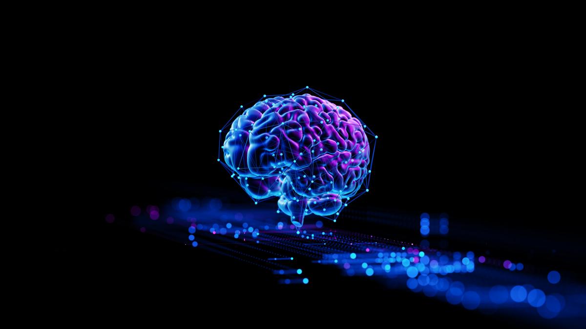digital-brain-hologram_16242400