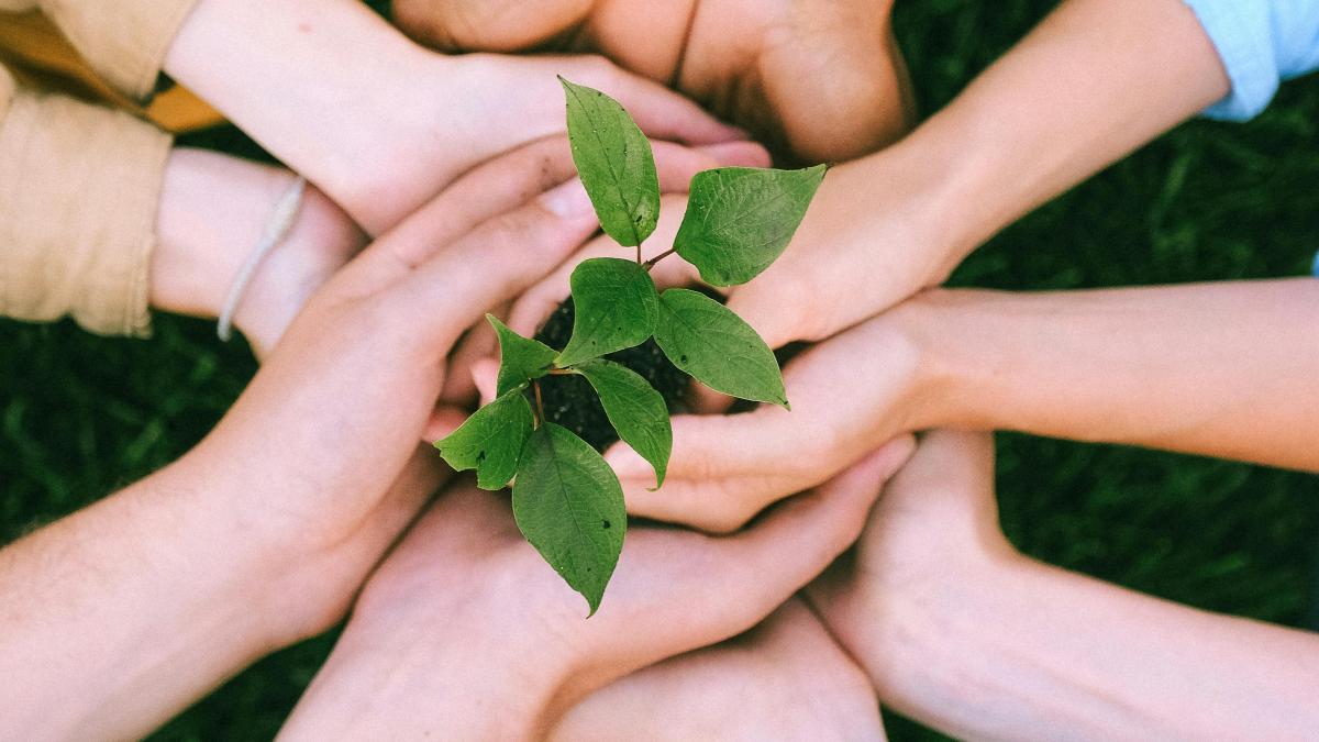voluntariat-pexels_92363300