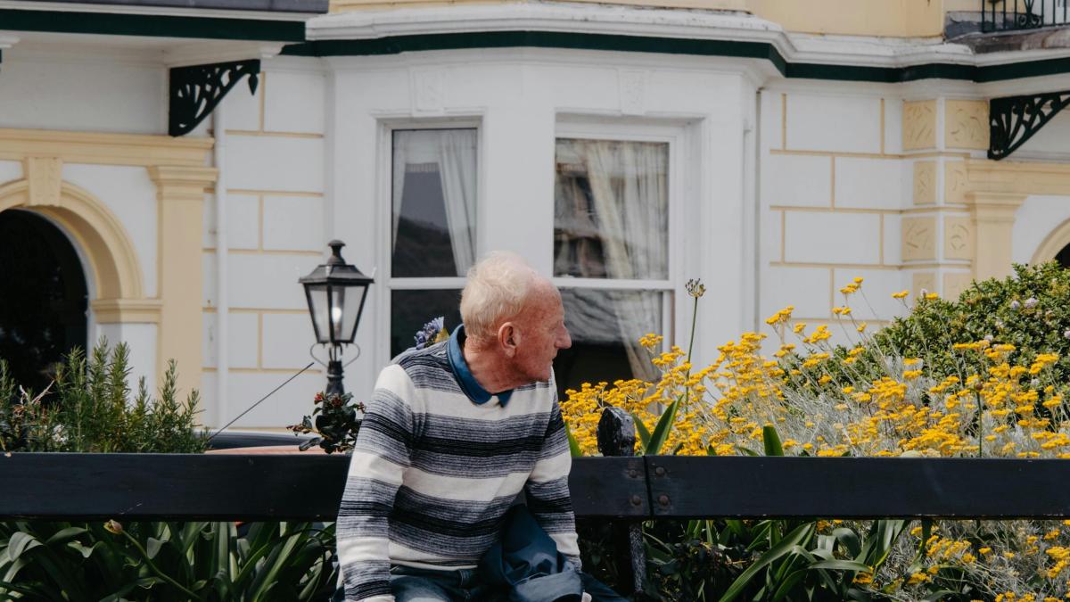 pexels-ilustrativ_17048500