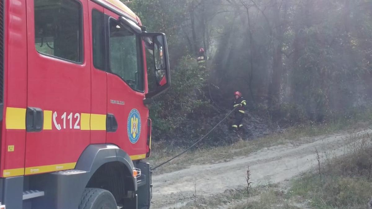 incendiu-de-vegetatie-din-valcea-s-a-extins-si-a-ajuns-la-circa-40-de-hectare--se-intervine-in-forta-cu-peste-100-de-pompieri--padurari-si-voluntari_70426600