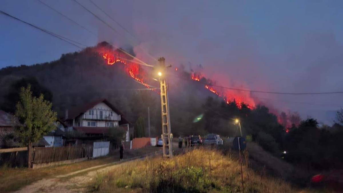incendiul-de-vegetatie-din-valcea--provocat-de-o-femeie--pagubele-sunt-uriase_14329200